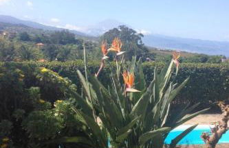 Holiday Home Finca Los Vinedos by Interhome - Foto 29