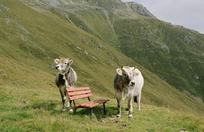 Modern Apartment in Fieberbrunn With Terrace - Foto 26