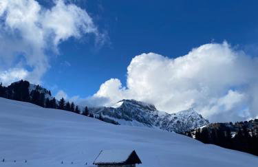 L'Ecrin des Myrtilles - Appartement cosy - Piscine et vue montagne - Alpes - Val d'Arly - Aravis et Beaufortain - Foto 63