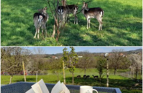 Kuća za odmor DIVA*** - Photo 31