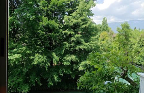 Residenza sul Livenza - Foto 20