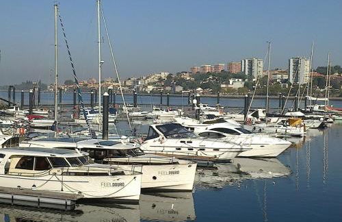 Apartamento vista Douro e Mar - Foto 45