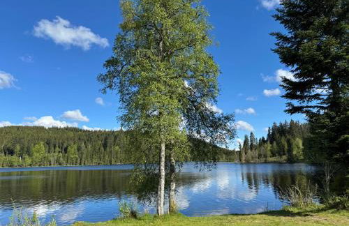 BergOase-Apart am Feldberg - Foto 5