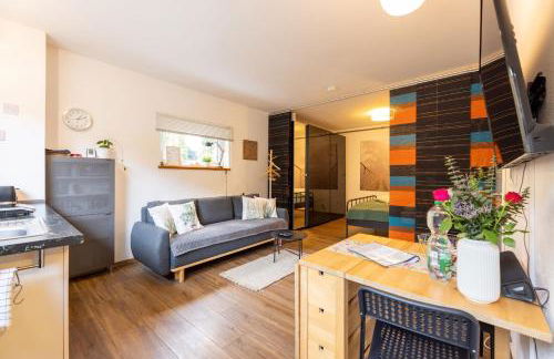 Ruhiges 1-Zi-Apartment, ideal für Kurzaufenthalt für bis zu 4 Personen - Foto 14