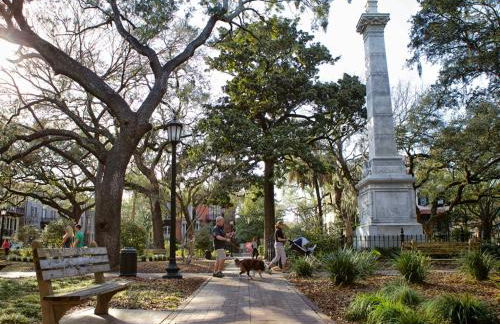 Waldburg Garden - Foto 26