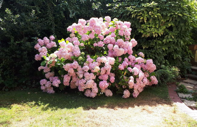 The Closters in the heart of the city - Foto 22