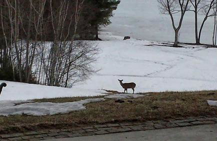 Spectacular Gothic-Style Castle with Private Pool and Hot Tub near Rindge, New Hampshire - Foto 17