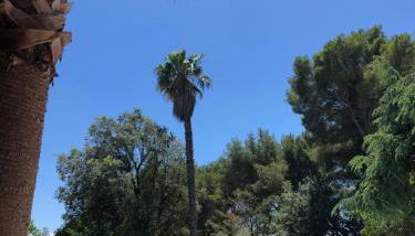 Grande propriété avec Piscine et Terrain de tennis privés - Foto 5