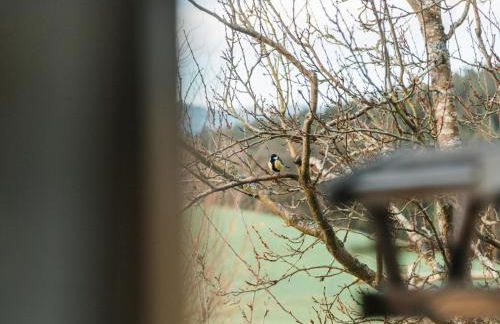 Im Bayerischen Wald - Foto 23