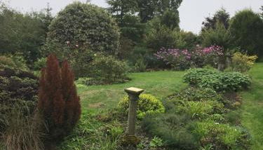 Pen y Crug Cottage - Foto 5