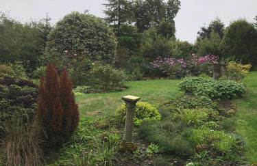 Pen y Crug Cottage - Foto 5