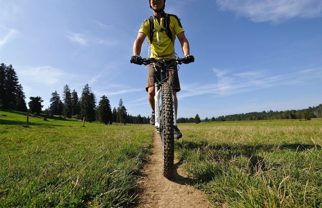 Serene Farmhouse in Habkern With Parking - Foto 38