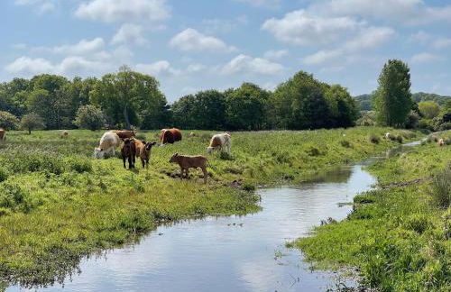 Old Hunstanton luxury by the sea - Foto 31