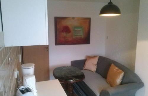 Ferienwohnung Konrad - nahe Chemnitz - Foto 10