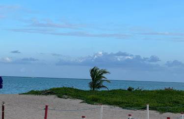 Lotus Antunes Beach - Foto 67