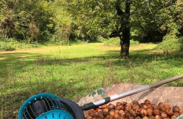 Gites La Chabanaise - Foto 22