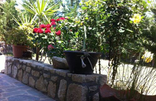 Mini Villas Green - Foto 56