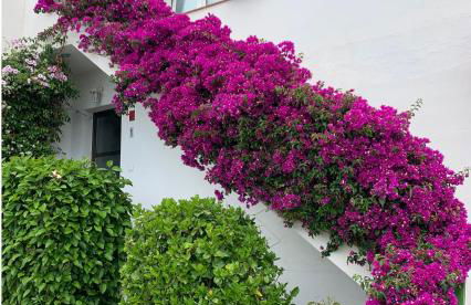 Appartement vue Mer à 300m de la plage - Son Parc - Foto 8