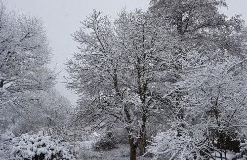 Ferien Fachwerkhaus - Foto 12