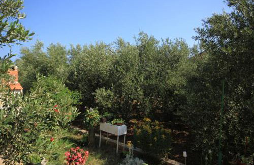 Apartments with parking space Kraj, Pasman - 8213 - Photo 16