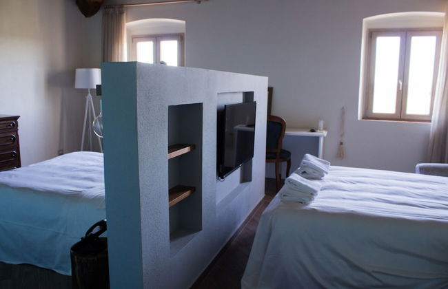 Fattoria L'Olmetto - Foto 22