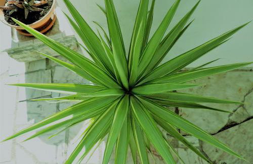 BLISS WHITE HOUSE - Foto 13