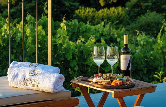 Quinta de Cypriano - Wine & Nature - Foto 43