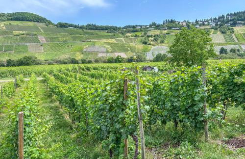 Weingut HermesLex - Photo 25