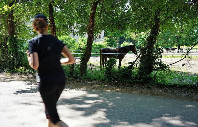 Domus Cariana - Photo 30