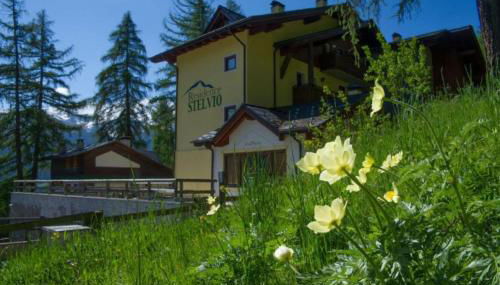 Stelviostay Residence Stelvio - Photo 5