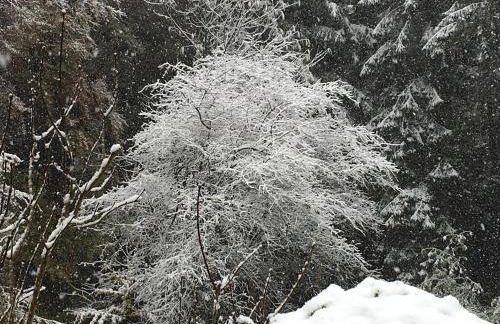 Ferien im Bomlitztal - Foto 9