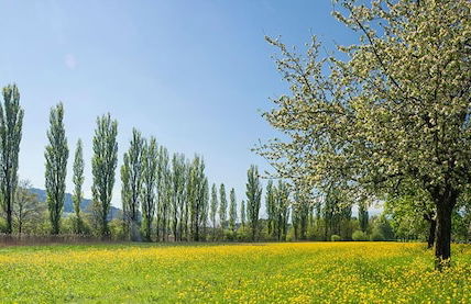 Studio directly by Lake Contance - Foto 13