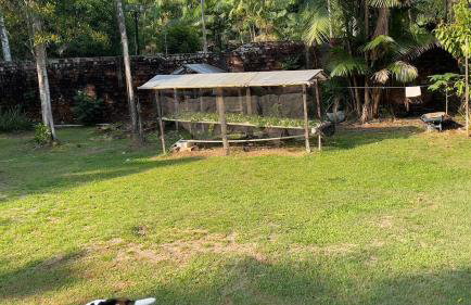 COP30 - Belém - Refúgio perfeito em Benfica-Pará - Photo 19