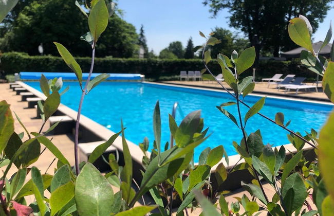 Holiday Home in Brabant With Private Spa - Photo 10