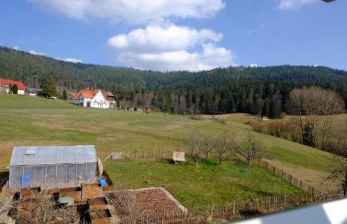 SchwarzWild - Ferienwohnung und Ferienzimmer - Foto 46