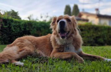 Casa Vacanza & Suite Joy - Foto 70