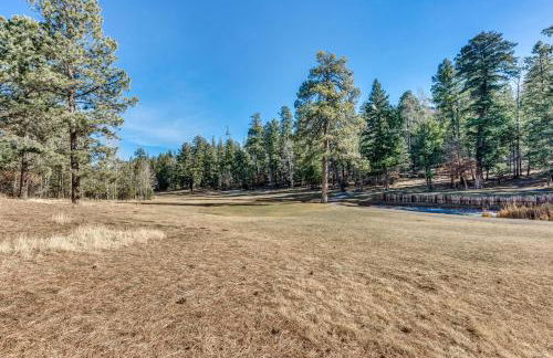 Bright Townhome - 1 Mile to Downtown Cloudcroft - Photo 23