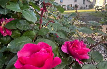 La Huberdière - Foto 52