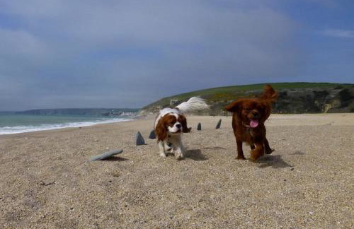 Cottage Sleeps 2- Parking Wood Fire Garden Pets - Foto 83