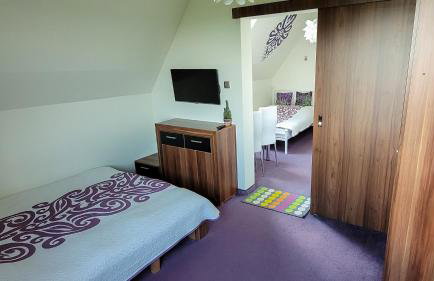 Willa Rąbanisko z sauną fińską - Foto 12