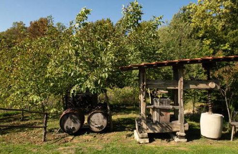 Beautiful Home In Kraljev Vrh With Wifi - Foto 14