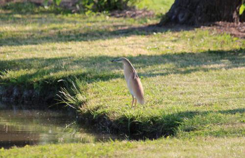Agriturismo Ca' Alleata - Foto 38