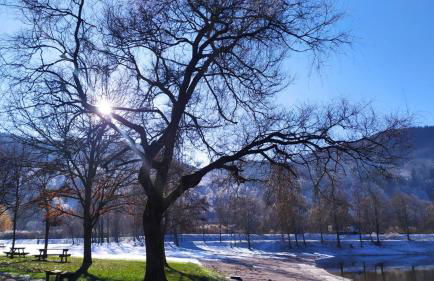 Chez Vovone 3 étoiles clévacances - Foto 35