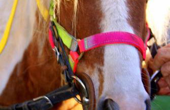 Zio Stefy - Photo 32