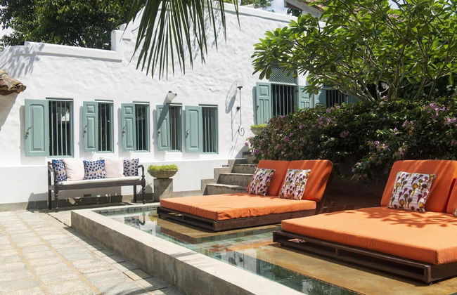 08 Acre Private Tea Estate Close To Galle - Photo 3