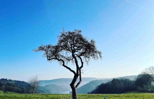 Zum kleinen Bürgermeister - Foto 23