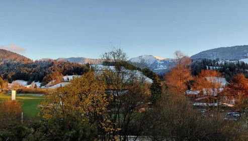 Ferienwohnung Kaminstube Seelekopf - Foto 2