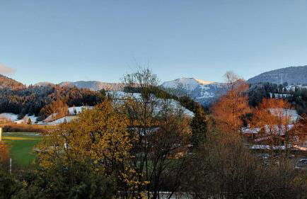 Ferienwohnung Kaminstube Seelekopf - Foto 2