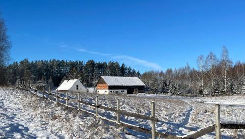 Żurawi klangor dom z sauną i jacuzzi - Foto 5