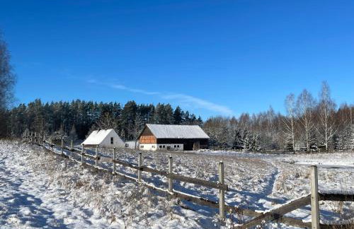 Żurawi klangor - dom z sauną i jacuzzi - Foto 50